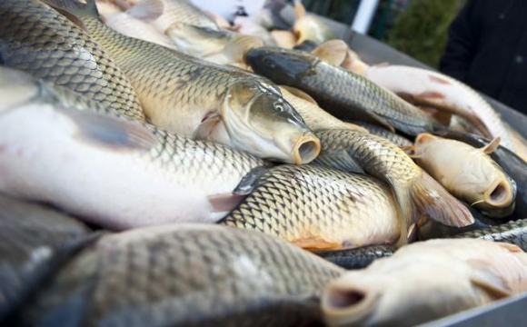 В Україні продовжують зростати ціни на продукти: риба стала розкішшю