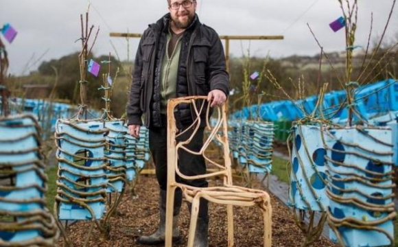 Англійський підприємець створив ферму, на якій вирощують живі меблі. ФОТО