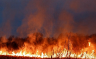Учора на Ковельщині хтось підпалив півтора гектара поля