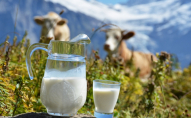 Рекордна вартість молока: що відбувається з цінами