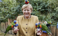 Хотіла погодувати: канцлера Німеччини вкусив папуга. ФОТО