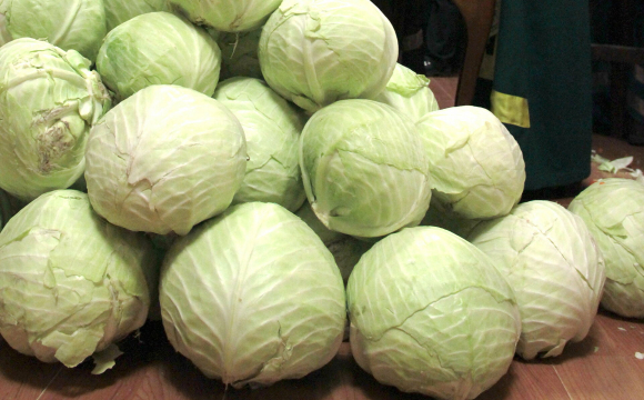 В Україну ввезли небезпечну капусту, яку не можна вживати: повідомили постачальника