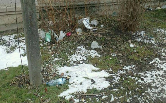 Сніг зійшов - сміття вилізло: луцькі узбіччя потопають у відходах