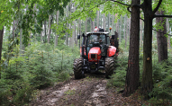 У лісі біля села перекинувся трактор: водій загинув на місці
