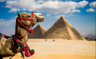 За що у Єгипті можуть заарештувати туристів