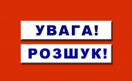 У Луцьку розшукують водіїв, які вчинили ДТП та залишили місце події. ФОТО