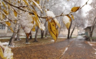 Коли на заході України випаде перший сніг