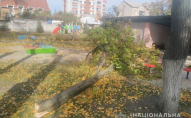 У дитячому садку на вихованців впало дерево, дівчинка у реанімації