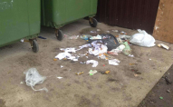 У місті на Волині мешканці викидають сміття мимо контейнерів. ФОТО