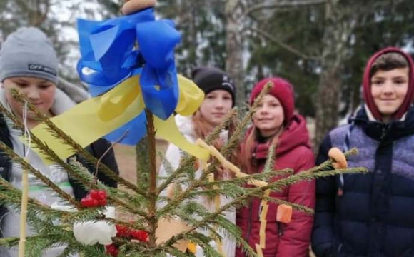 На Волині діти прикрасили ялинку бубликами та макаронами. ФОТО