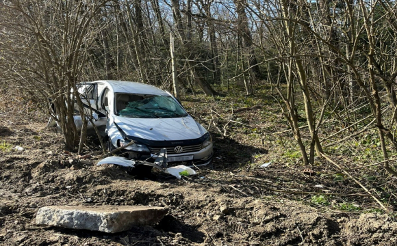 П'яний водій авто не впорався з керуванням і врізався в дерево