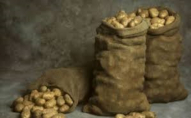 На Горохівщині «картопляні злодії» вкрали з льоху 400 кг овочів