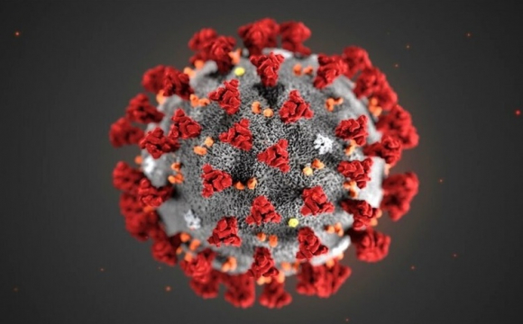Мутація коронавірусу: ВООЗ закликала Європу посилити контроль