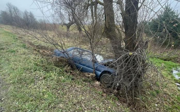 Смертельна ДТП на Львівщині: водій загинув на місці