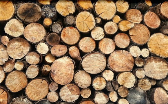 Українцям безкоштовно роздаватимуть дрова