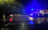 Вночі у Волинській області негода повалила дерева та затопила авто. ФОТО