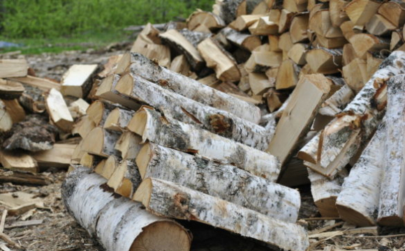 Дуб, береза чи верба? Які дрова не варто купувати для опалення. ТАБЛИЦЯ - volynfeed.com
