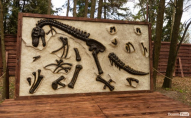 Огорожений канатами: у Луцьку з'явився парк динозаврів. ФОТО