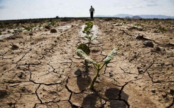 В Україні прогнозують сильну посуху