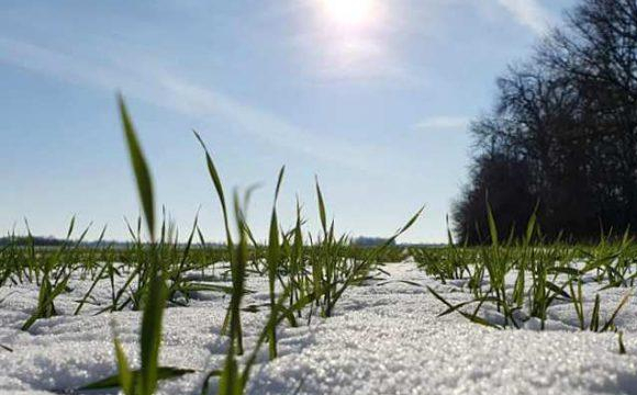 Українців попередили про аномальне потепління серед грудня