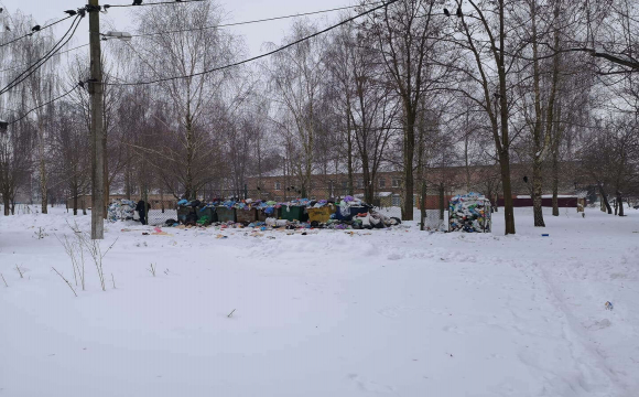 Нововолинськ потопає в смітті. ФОТО