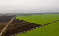 В Україні відчутно зросли ціни на землю: скільки коштує гектар у різних областях