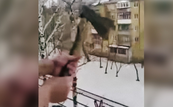 21-річний юнак заради переглядів у «ТікТок» кидав з балкону сокиру. ВІДЕО