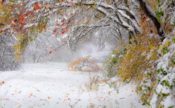 В Україні вже наступного тижня випаде сніг