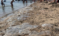 Холодець з медуз та страшні опіки: туристи жаліються на відпочинок на Арабатській Стрілці. ВІДЕО