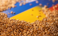 США виділять $68 мільйонів на закупівлю української пшениці