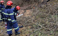 36-річного чоловіка на смерть привалило деревом. ФОТО