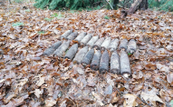 На Волині в лісі знайшли 19 артилерійських снарядів