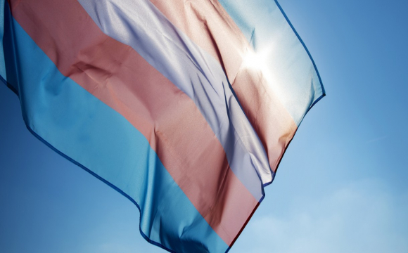 У Нідерландах уряд виплатить компенсації трансгендерам за примусову стерилізацію