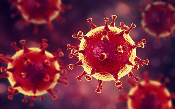 Епідемічна ситуація погіршується: за добу на Волині 225 випадків коронавірусу
