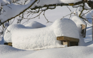 На заході України буде багато снігу: яким буде перший місяць зими