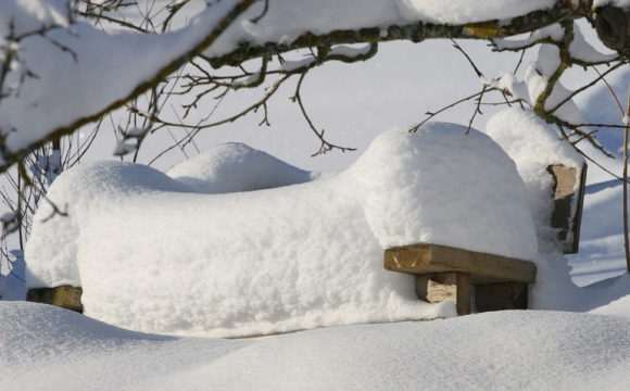 На заході України буде багато снігу: яким буде перший місяць зими