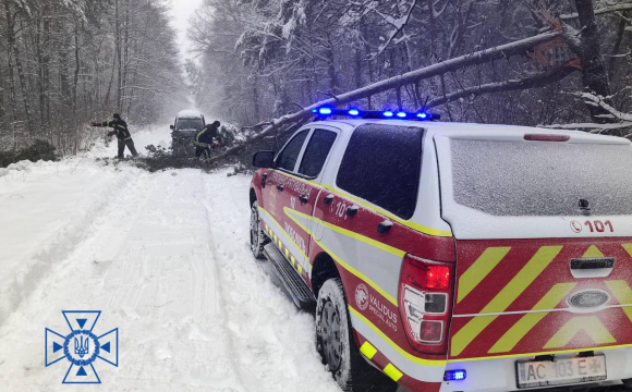 На Волині прибирають повалені дерева внаслідок нічних заметів