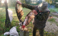 Українські браконьєри вбили рідкісного червонокнижного птаха. ФОТО
