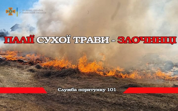 Велика пожежа: на Заході України згоріло 30 тисяч квадратів 