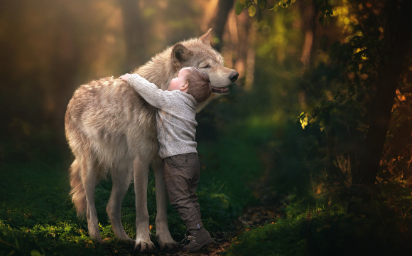 Справжній Мауглі: хлопчик жив з вовками у зграї