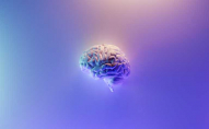 Вчені створили штучні клітини мозку: вони зберігатимуть спогади