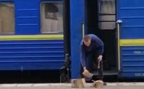 Провідник поїзда УЗ рубав дрова просто на вокзалі. ФОТО. ВІДЕО
