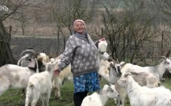 На Волині жінка утримує козячу ферму. ВІДЕО