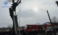 Волинянин застряг на дереві: довелося викликати рятувальників