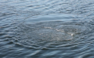 У Волинській область втопився 37-річний чоловік