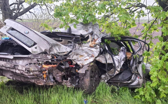 На автодорозі водійка авто з'їхала в кювет і зіткнулася з деревом: є загиблий. ФОТО