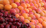 Ціни на кісточкові ягоди та фрукти зростуть на 15%