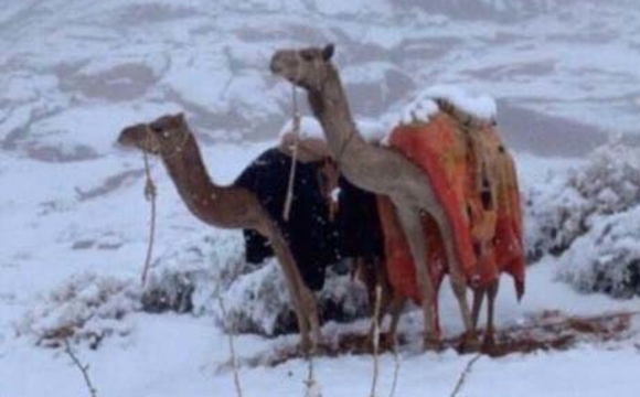 Саудівську Аравію засипає снігом: негода протримається кілька днів. ВІДЕО