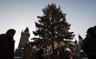 У Бельгії на площі впала різдвяна ялинка: є загибла і травмовані