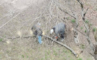 У Луцьку під час повітряної тривоги декілька чоловіків спилювали дерева. ВІДЕО